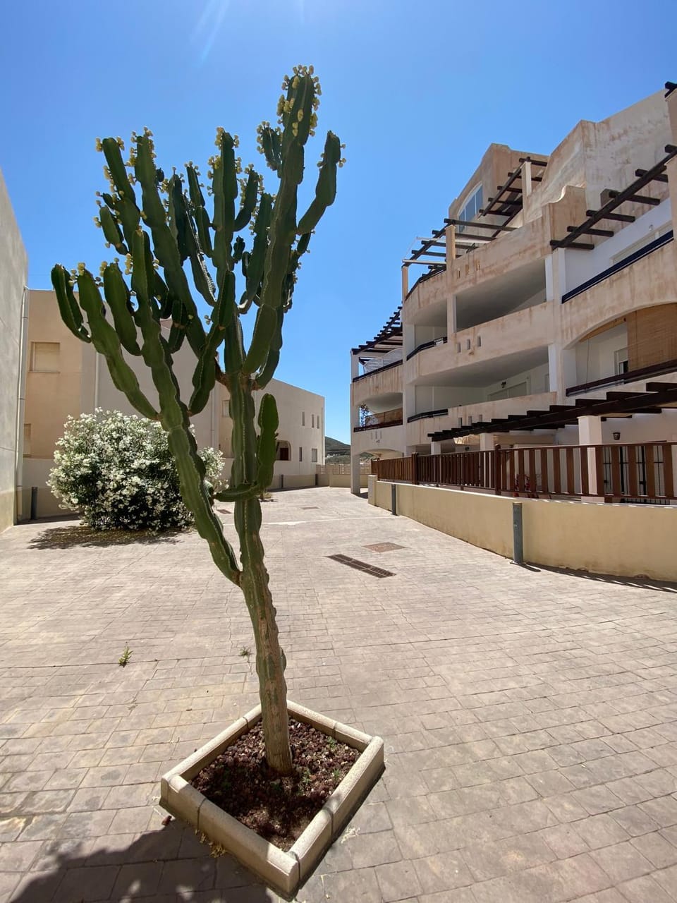 Property building, Balcony/Terrace