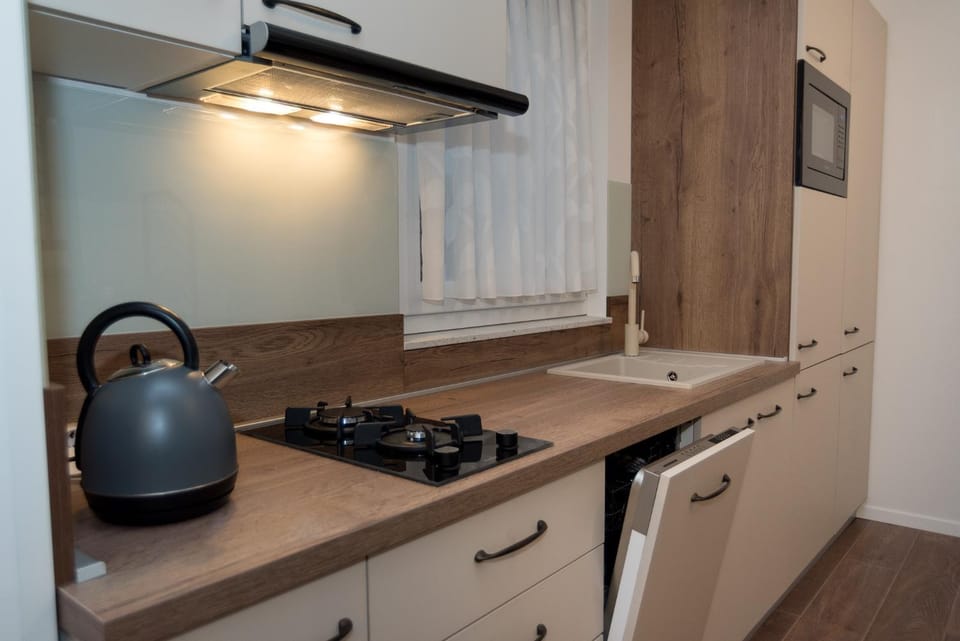 Kitchen or kitchenette, dishwasher, minibar