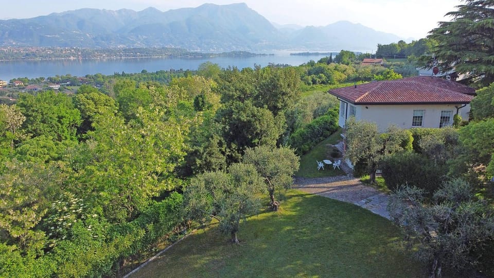 Patio, Garden, Garden view