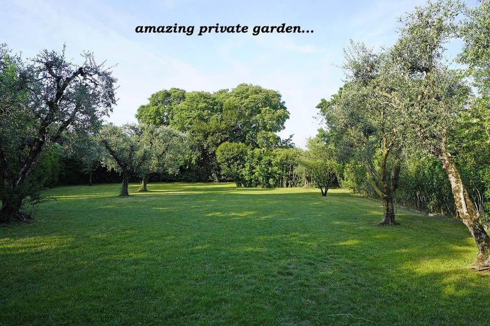 Patio, Garden, Garden view
