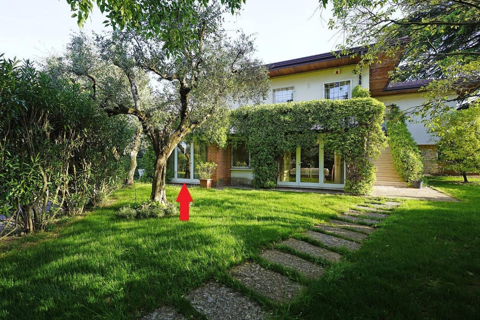 Patio, Garden, Garden view