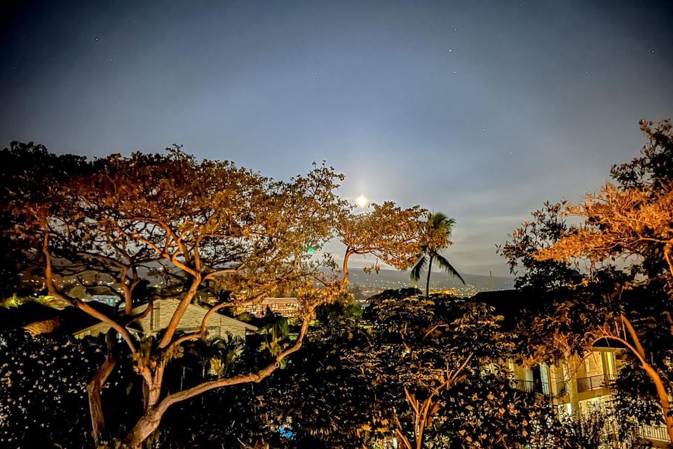 A Little Aloha Apartment in Holualoa
