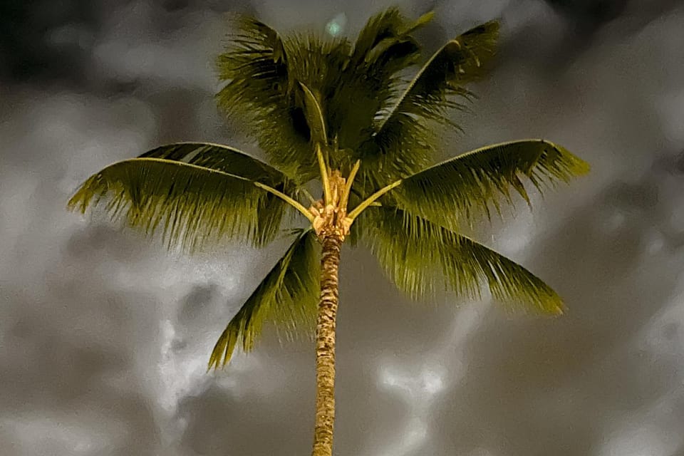 A Little Aloha Apartment in Holualoa