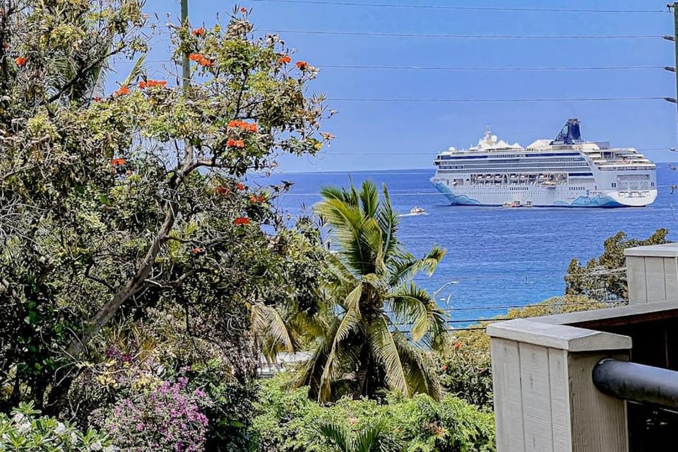 A Little Aloha Apartment in Holualoa