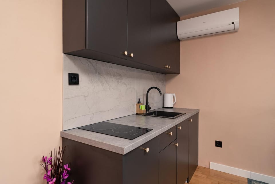 Sapphire Studio Apartment with FREE PRIVATE PARKING Apartment in Dubrovnik