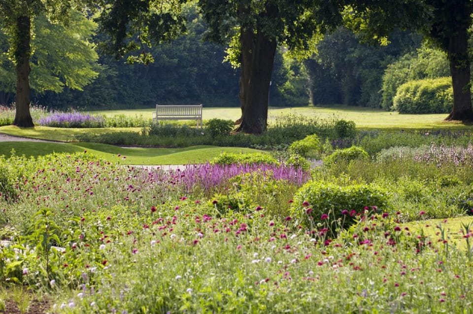 Natural landscape