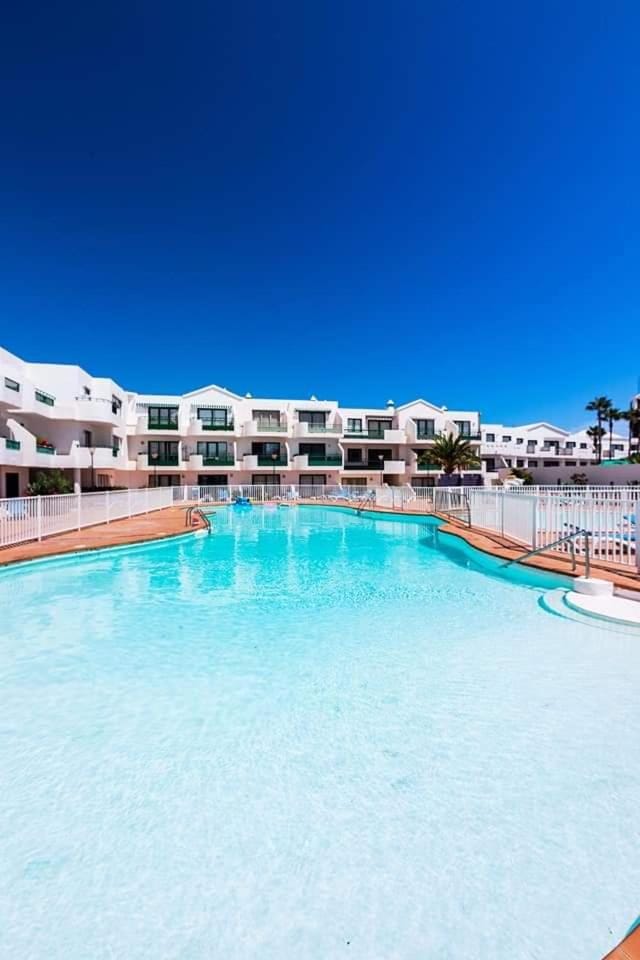Pool view, Swimming pool, sunbed