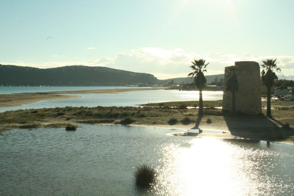 Beach, Area and facilities