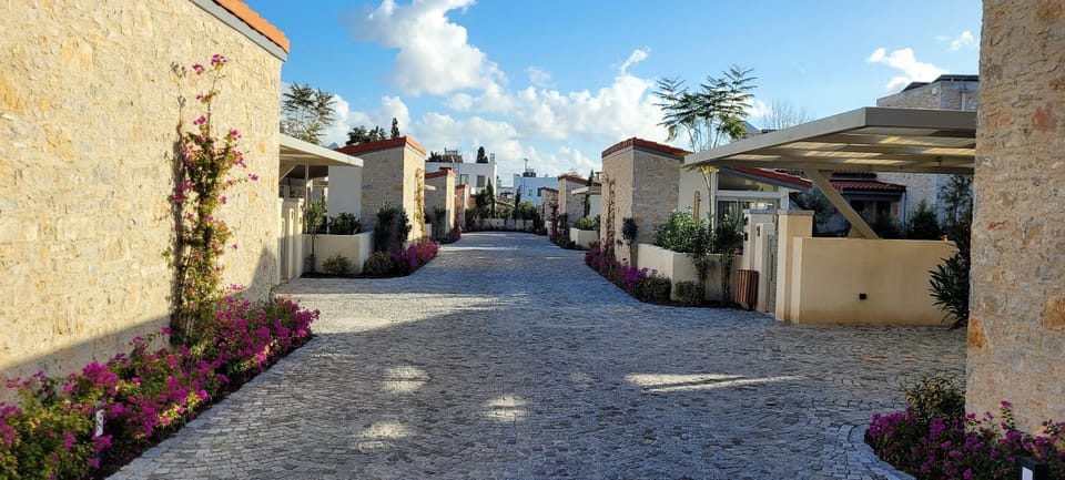 Property building, Day, Neighbourhood, Garden, Garden view, Street view, Quiet street view