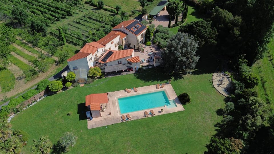 Property building, Natural landscape, Bird's eye view, Garden, Garden view, Pool view, Swimming pool, sunbed