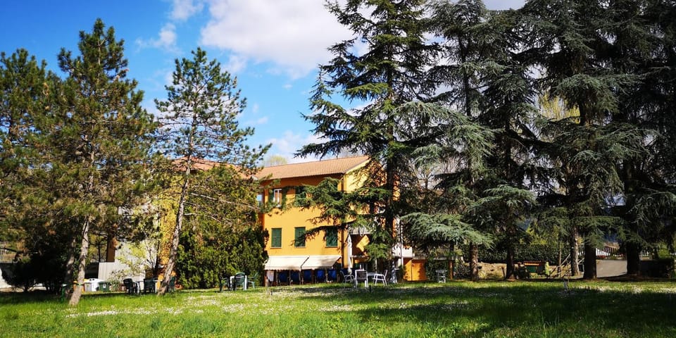 Garden view