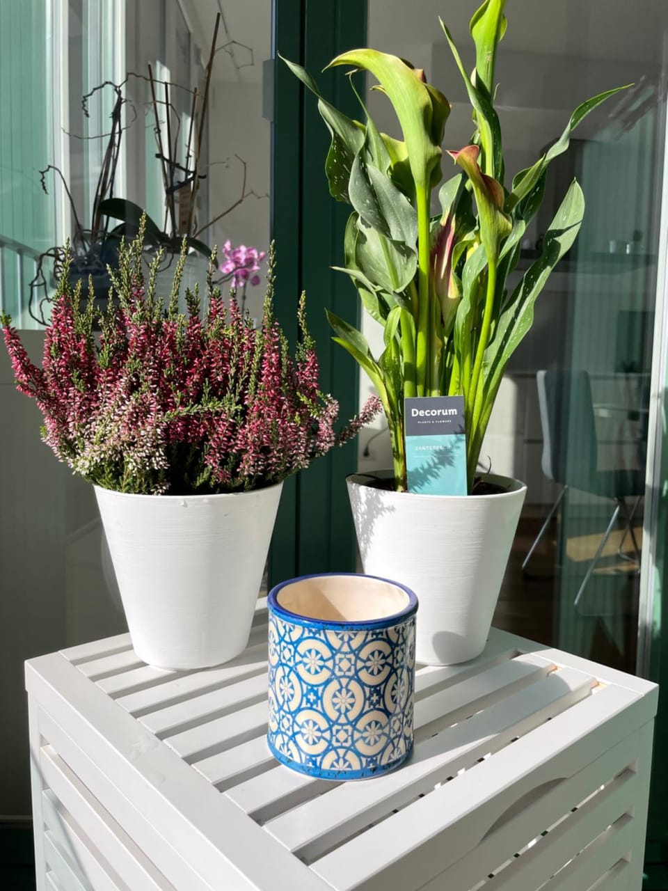 BrixHome Apartment in Canton of Ticino