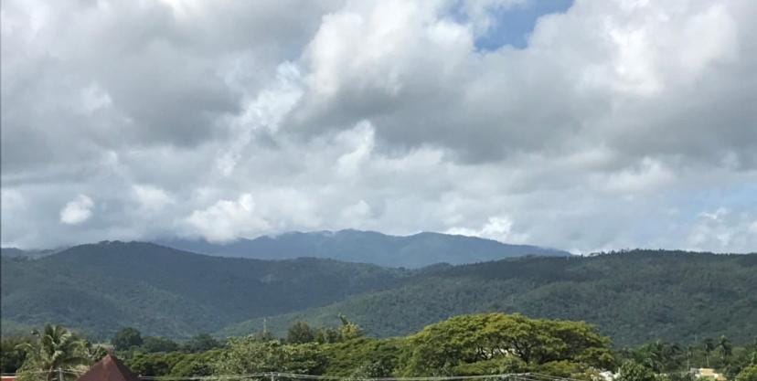 Natural landscape