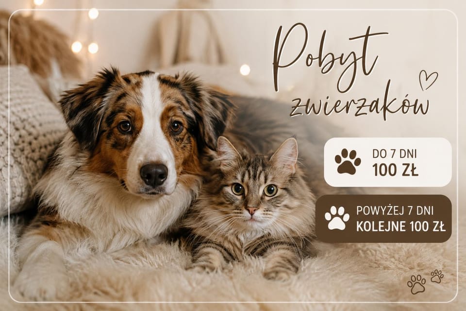 Domki Sosnowa Przystań w Rozewiu Jastrzębia Góra - Jacuzzi Forest Apartment in Pomeranian Voivodeship