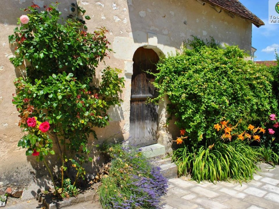 Gîte de Charme pour 15 Pers avec Jardin Privatif, à 12 km de La Roche-Posay - FR-1-381-514 House in Centre-Val de Loire