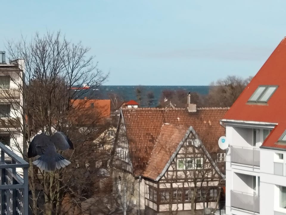Sea view