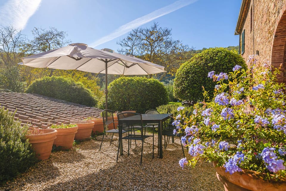 Patio, Garden