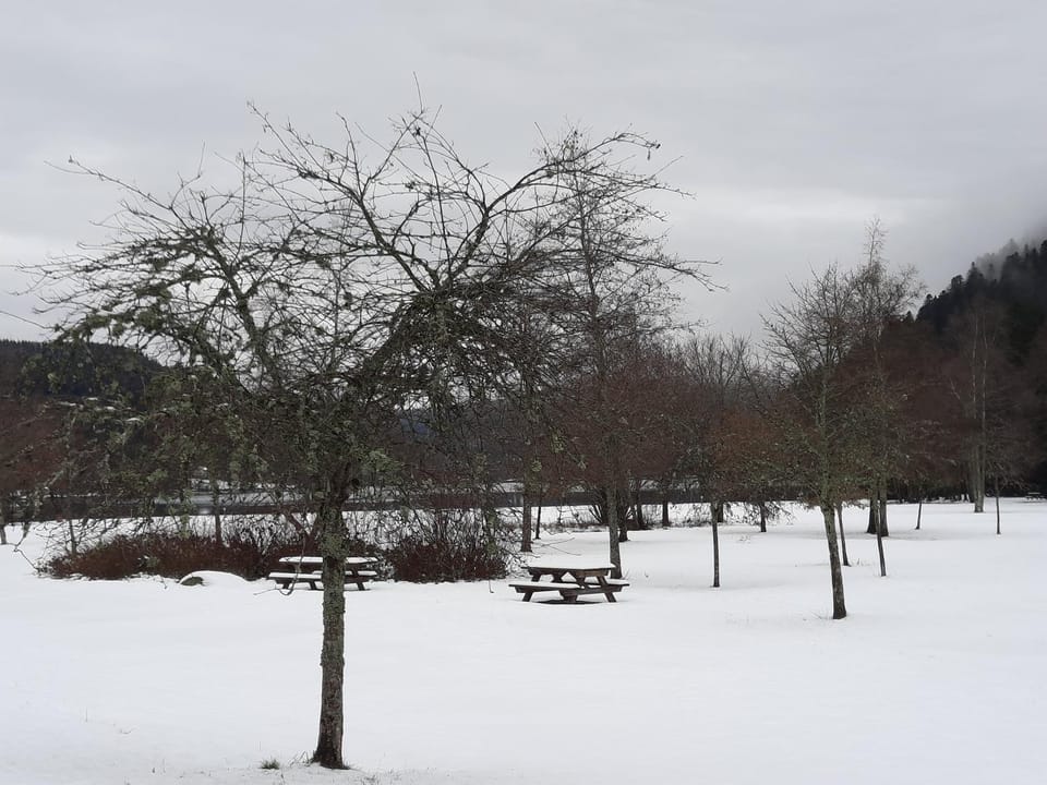 Le chalet de la Chouille Chalet in Xonrupt-Longemer