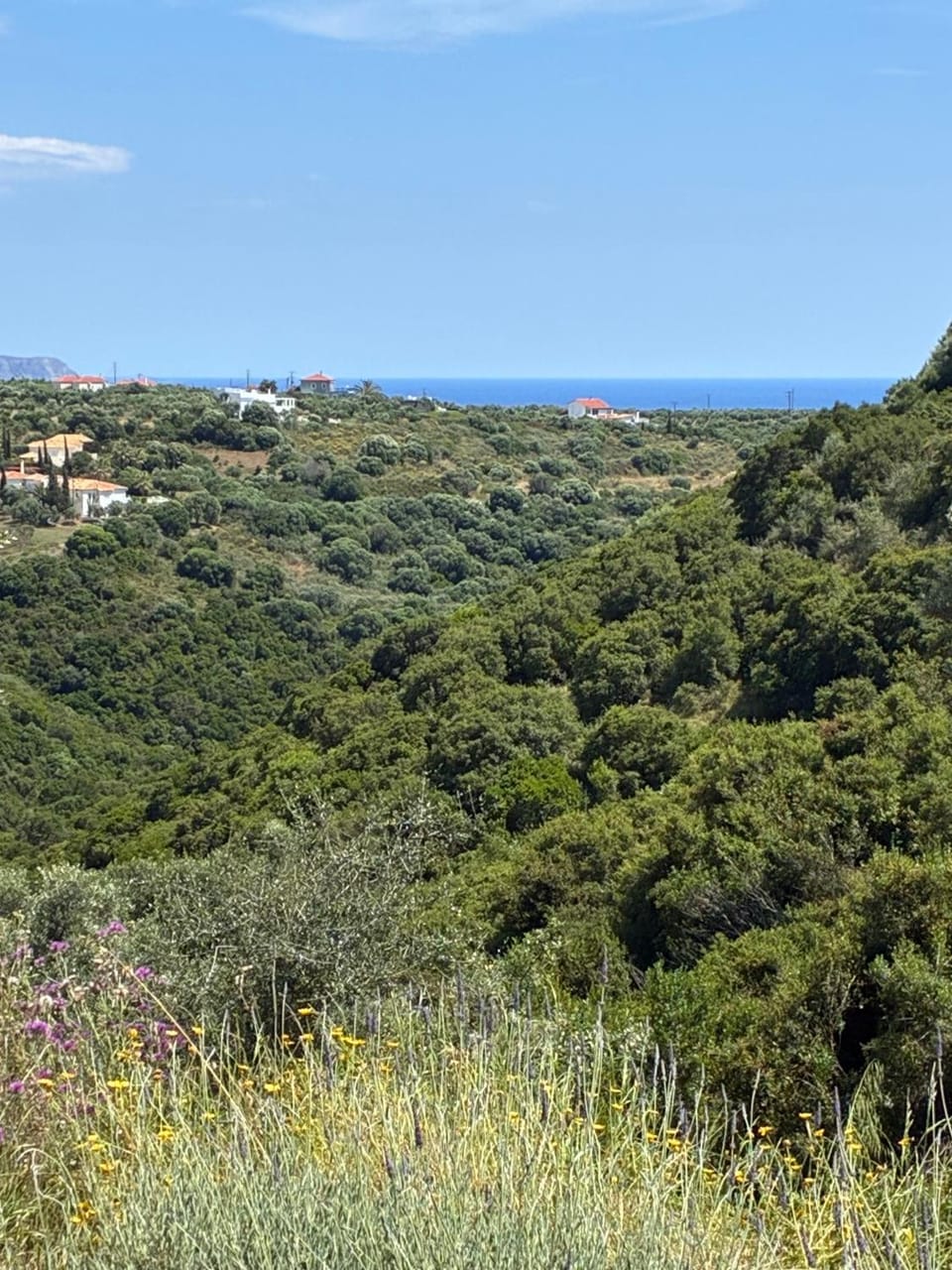 Sea view