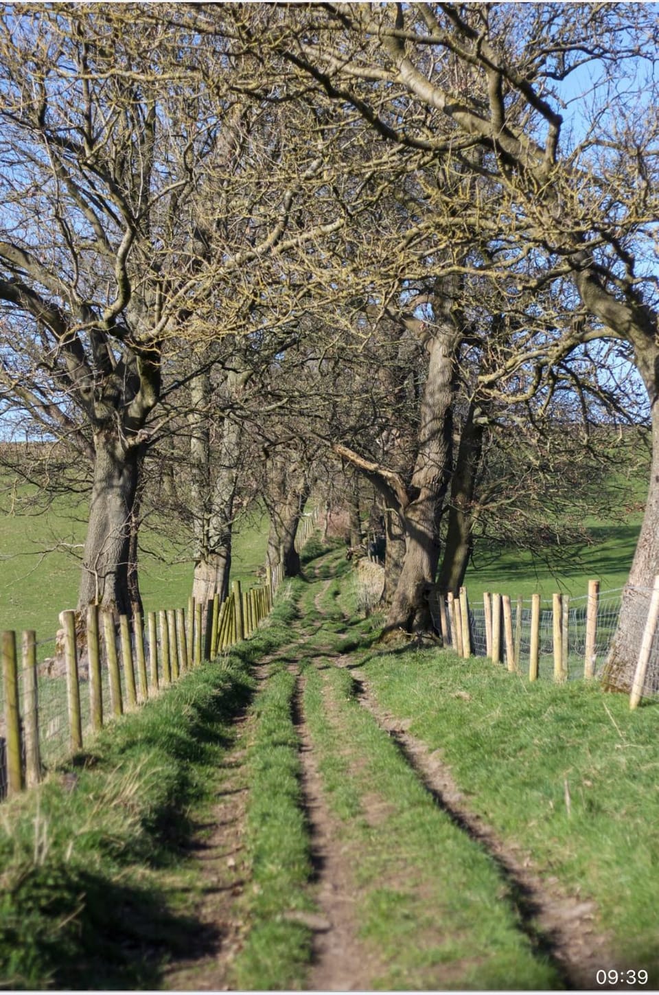 Spacious and bright 1 - bedroom rental unit Apartment in Ilkley