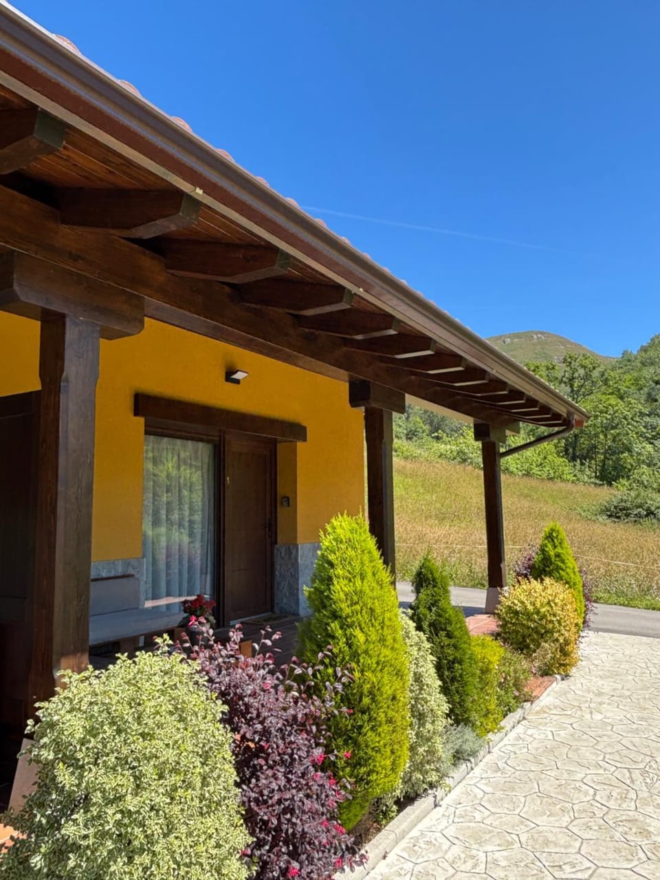 Garden view