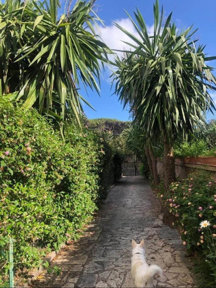 PuraVida 2 Apartment in Anzio