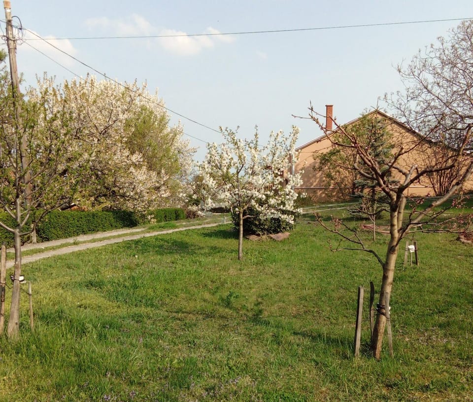 Panoráma Pihenőház Apartment in Hungary