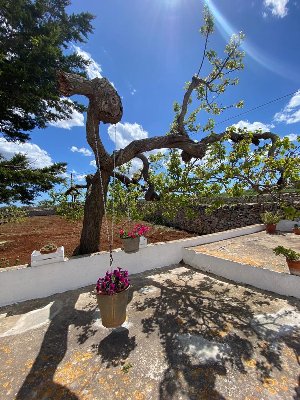 Trulli Demetra House in Province of Taranto