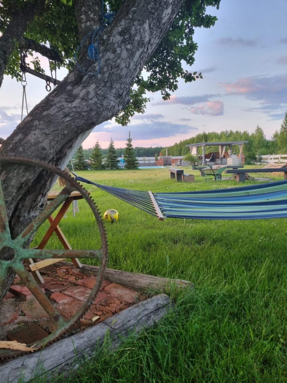 Natural landscape, Garden, Garden view