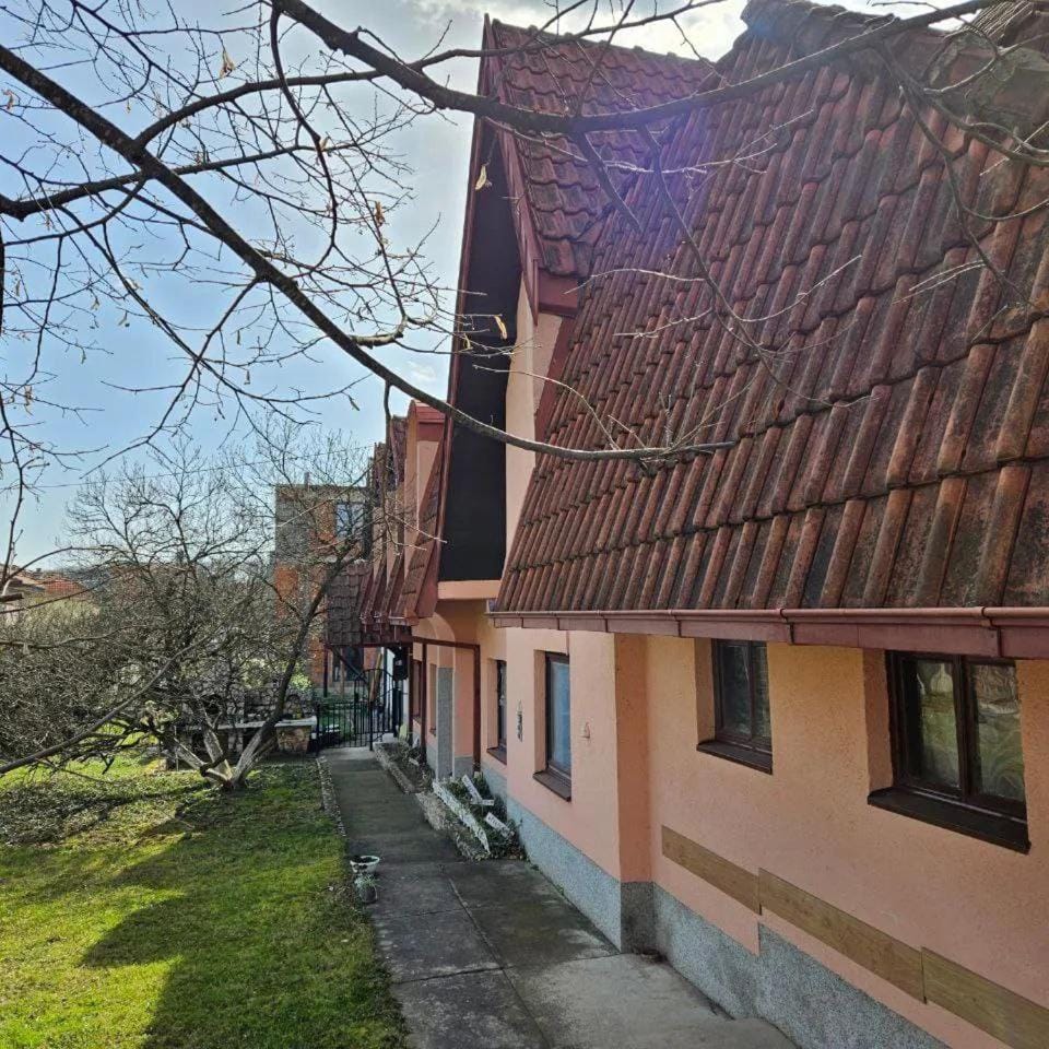 Property building, Spring, Garden, Garden view