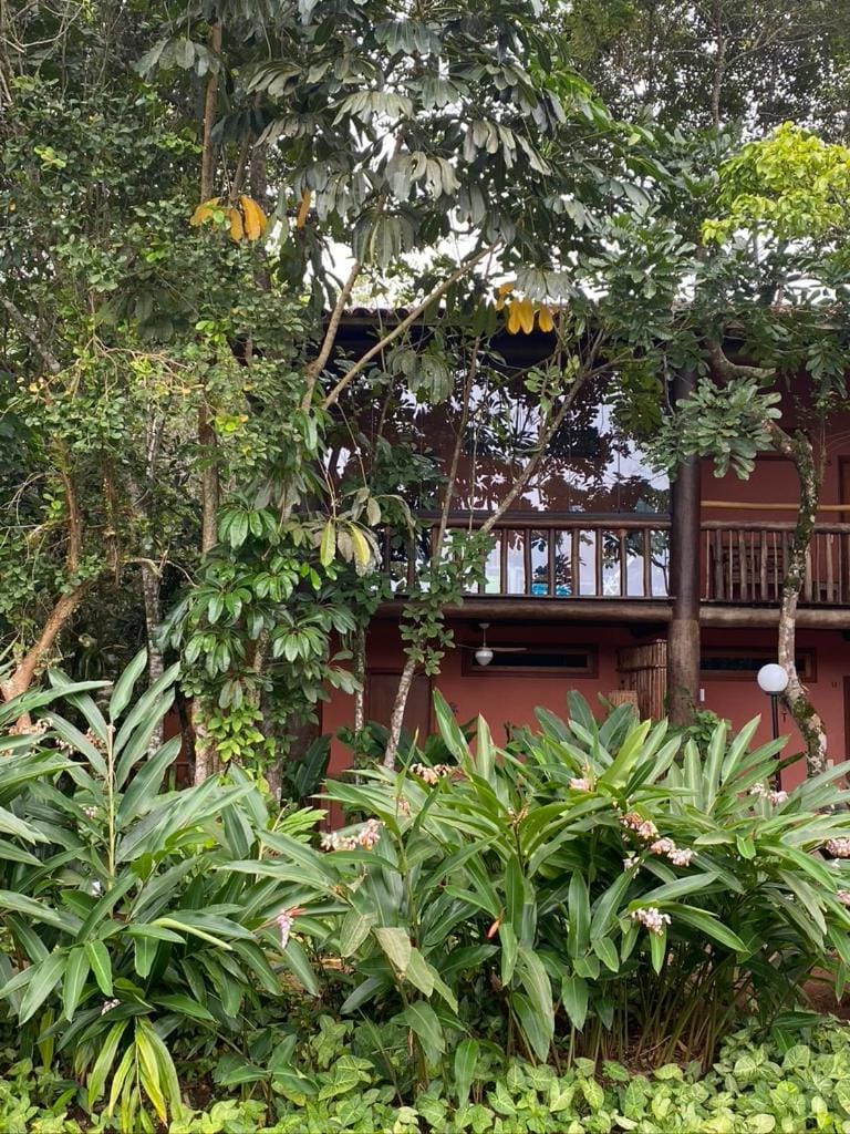 View (from property/room), Garden view