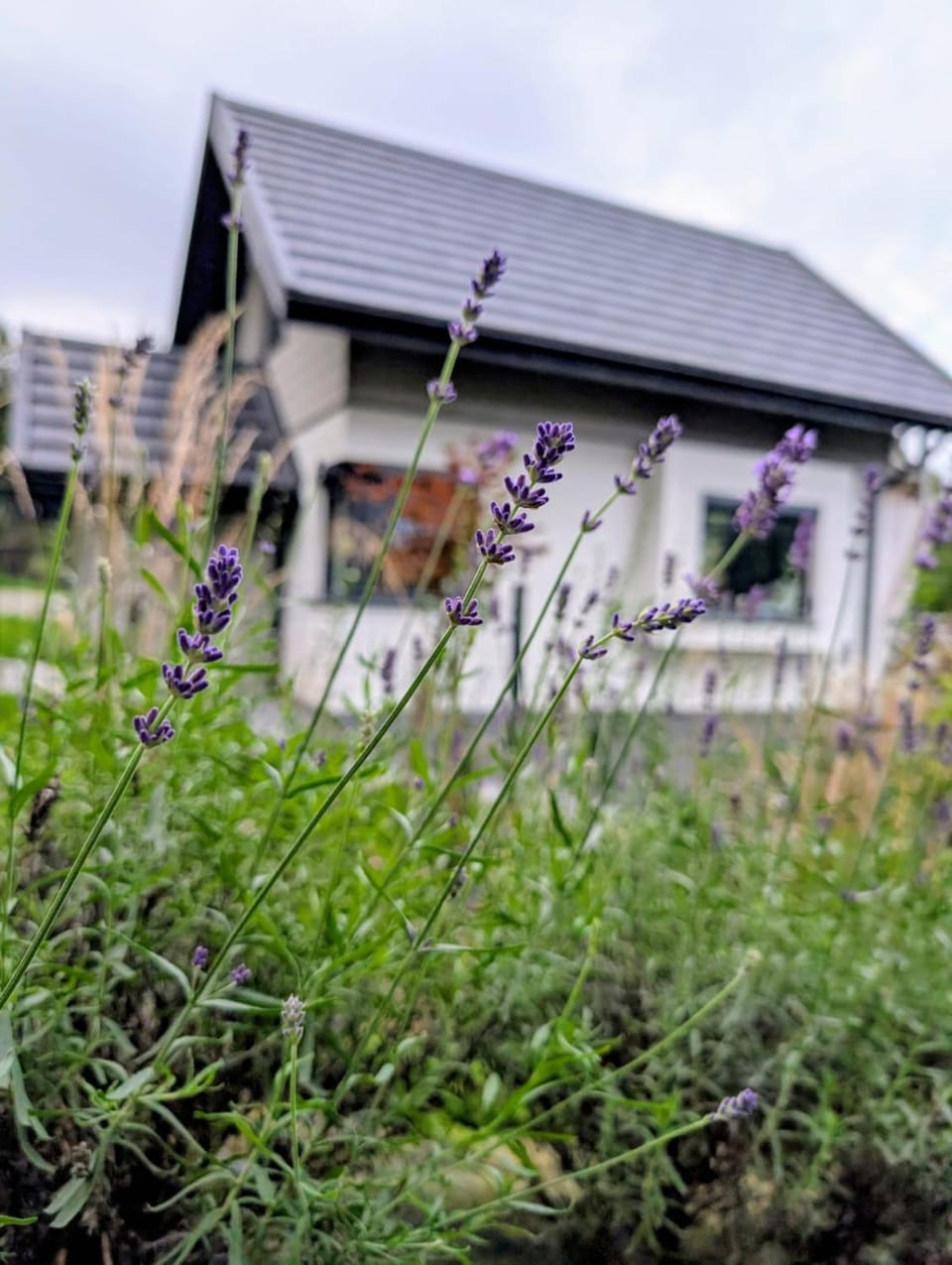Tu Jest Pięknie Chalet in Lesser Poland Voivodeship