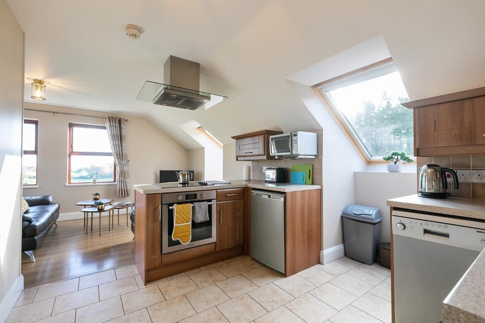 Kitchen or kitchenette, kitchen, kitchen