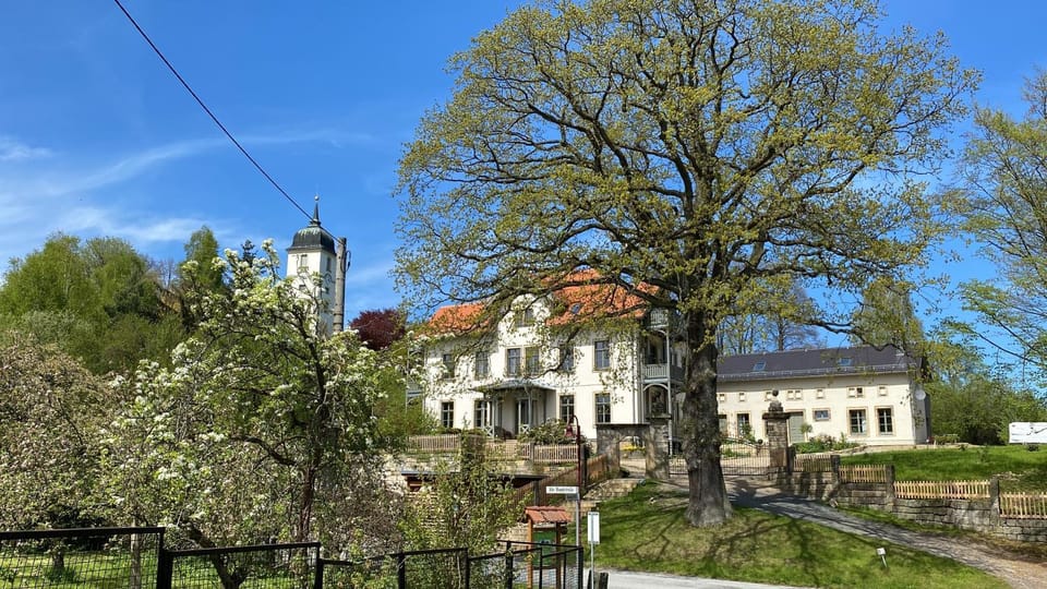 Property building, Spring