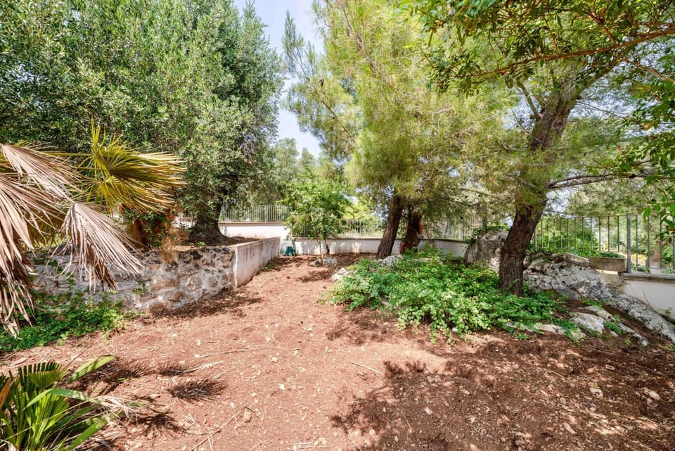 Day, Garden