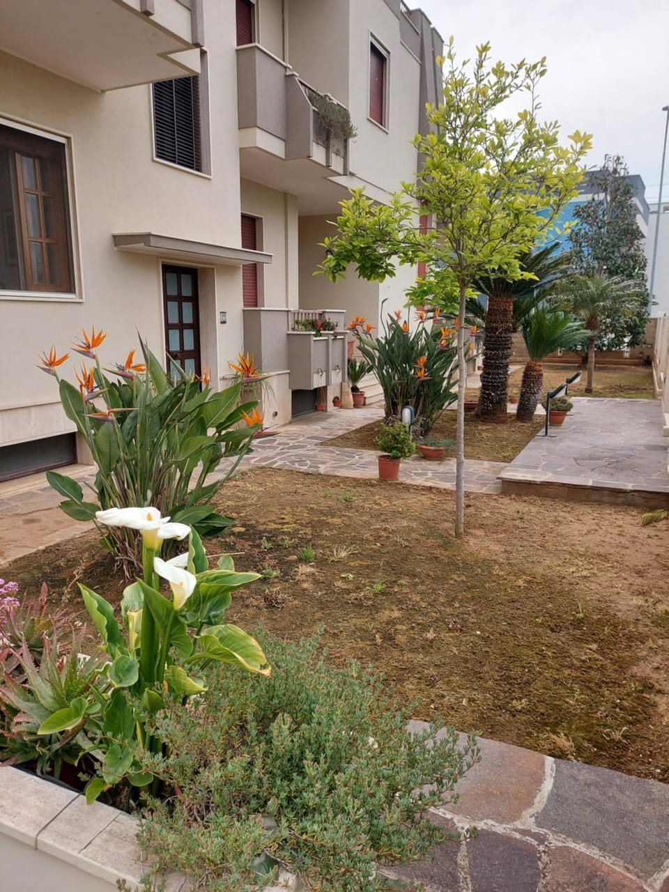 Property building, Garden