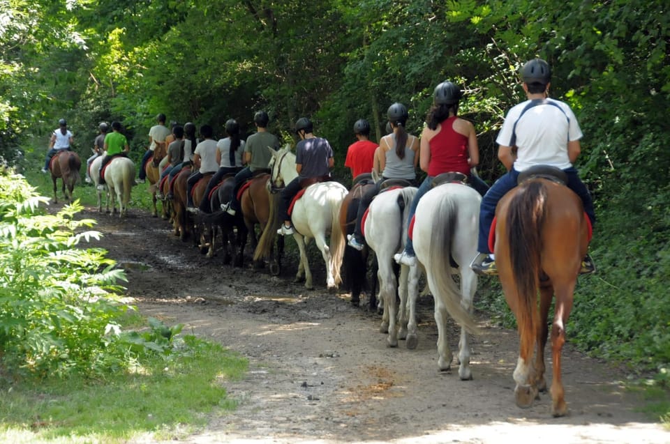 Day, People, Horse-riding, group of guests