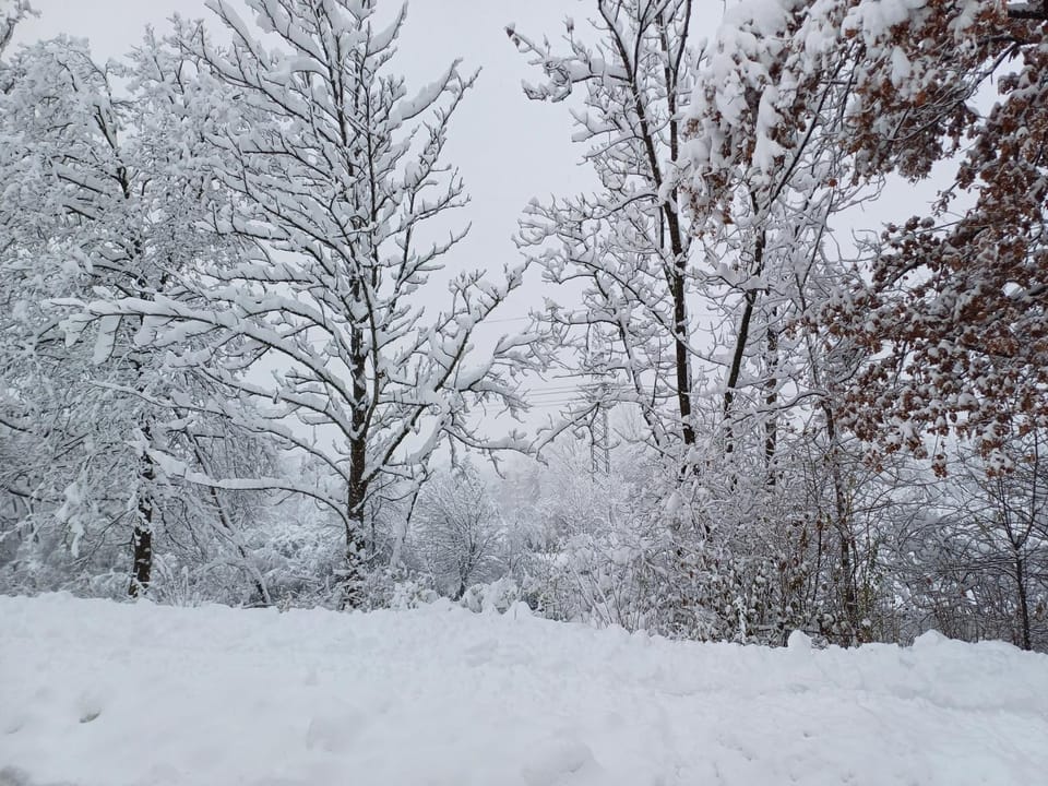 Casa Hintze I - 2 Zimmerwohnung Zentrumsnah und Nahe den Bergen Apartment in Kempten