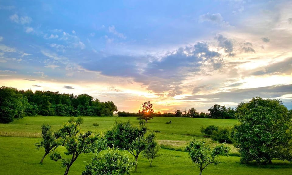 Natural landscape, View (from property/room), Garden view