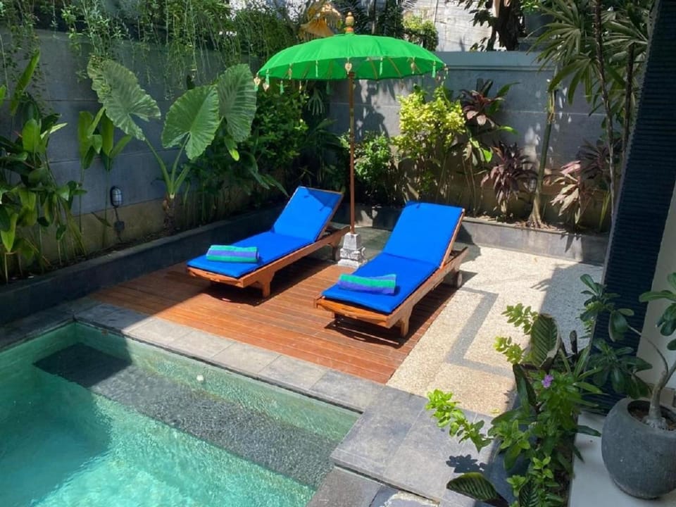 Garden, Swimming pool, sunbed