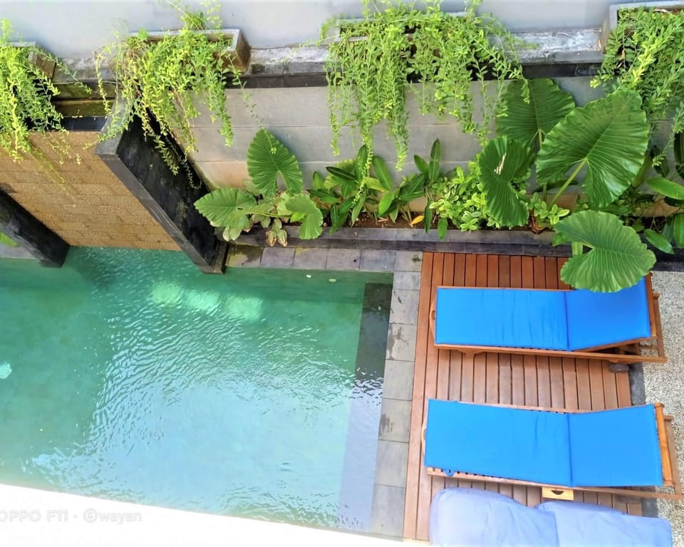 Pool view, Swimming pool, Swimming pool