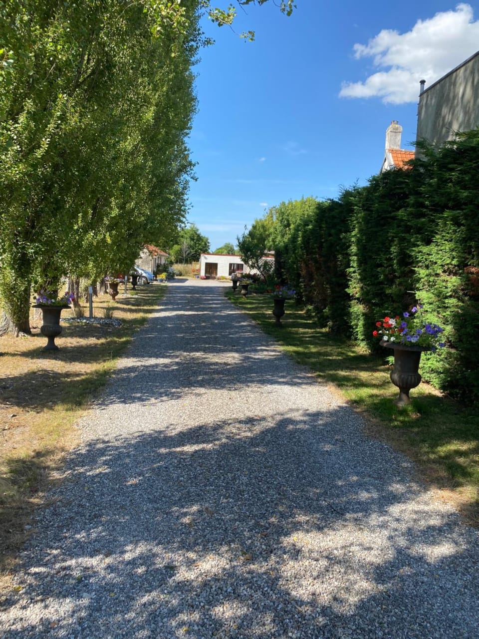 La Grange aux portes du Touquet, 1 ou 2 ch, terrasse, jardin, parking Apartment in Hauts-de-France