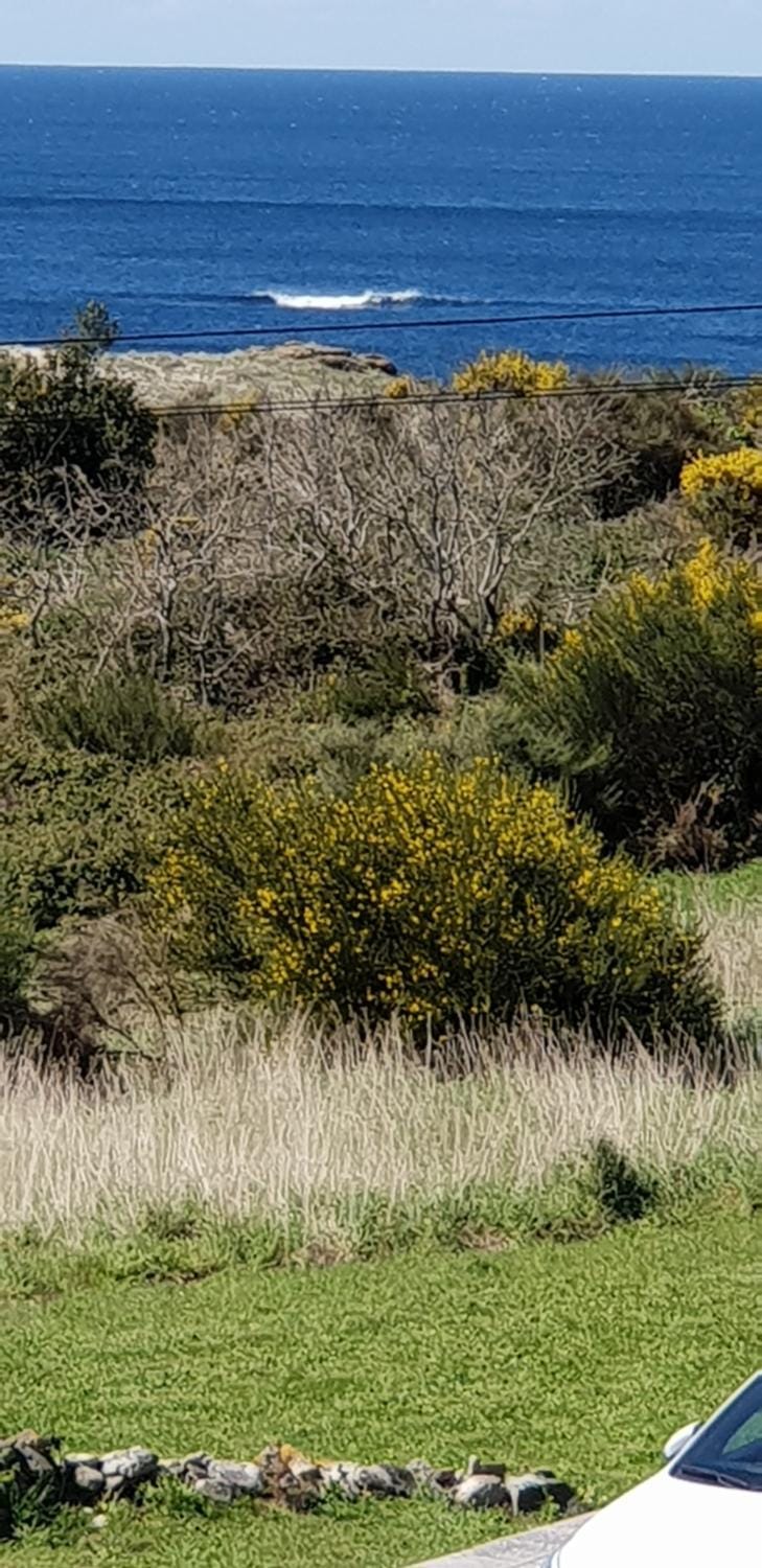 Emilia Atico Apartment in Galicia