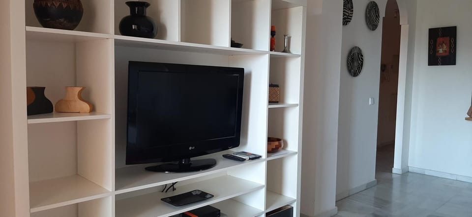 TV and multimedia