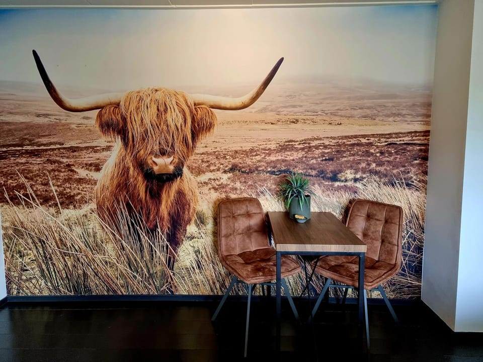 De Schotse Hooglander Bed and Breakfast in Drenthe (province)