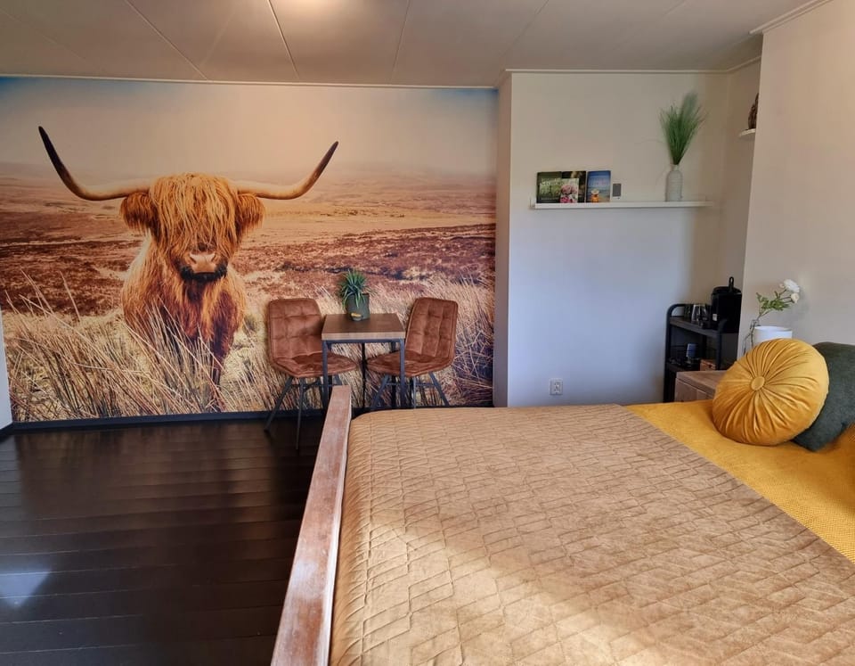 De Schotse Hooglander Bed and Breakfast in Drenthe (province)