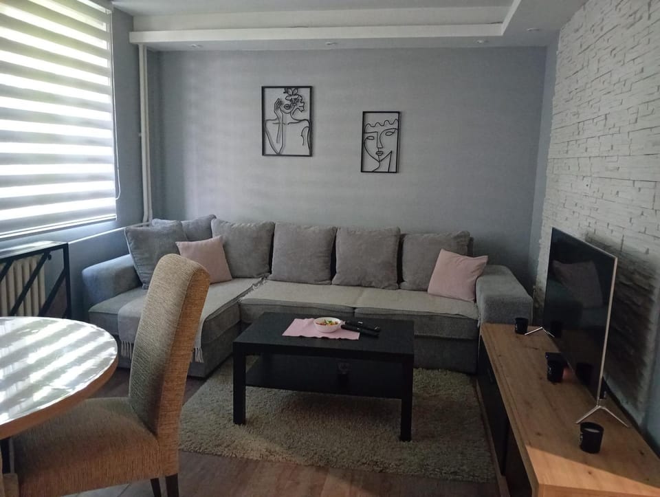 SUNSHINE Apartment Apartment in Serbia