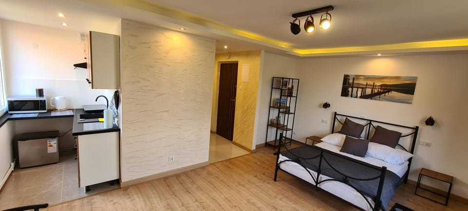 Apartament Pod Stokiem Apartment in Lviv Oblast
