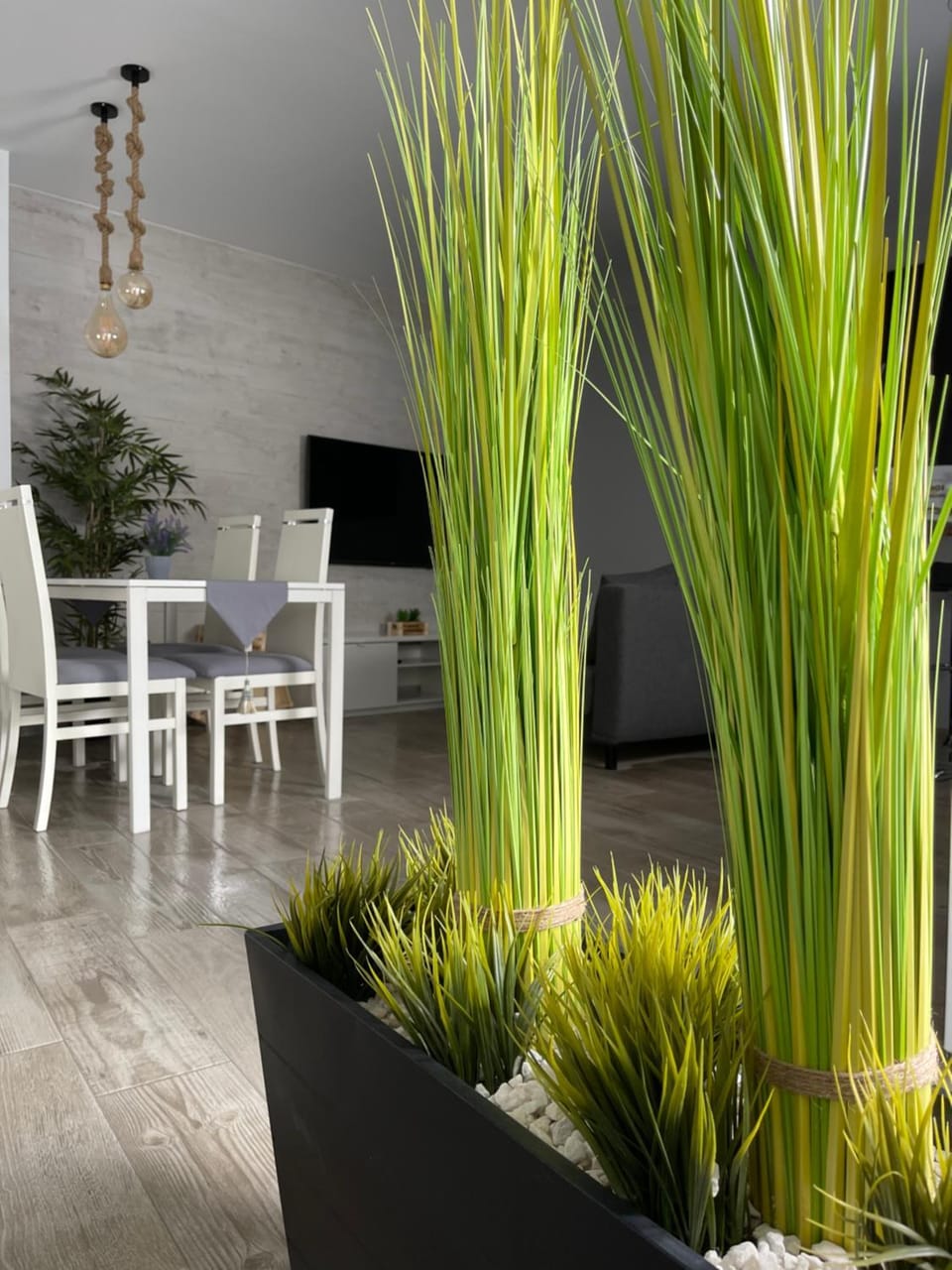apartamentos Bandera Apartment in Jerez de la Frontera