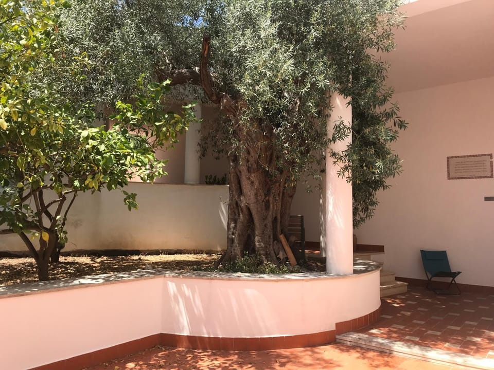 Garden, Garden view, Inner courtyard view